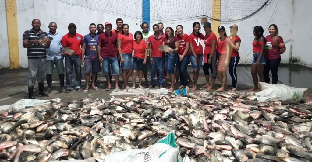 Costinha mantém tradição e distribui 8 toneladas de peixes compradas dos produtores de Olinda Nova do Maranhão