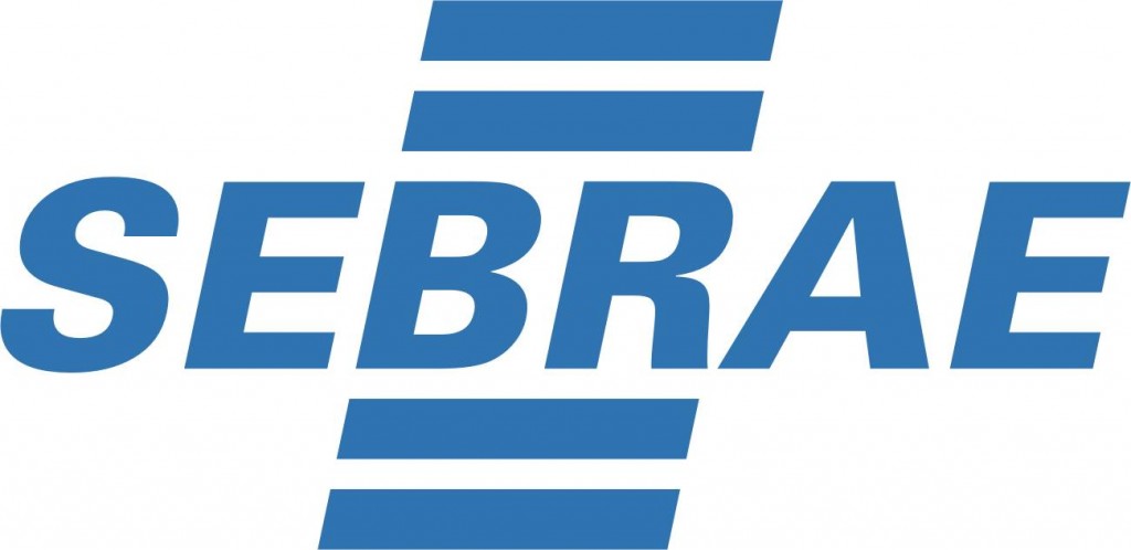 CURSO DO SEBRAE ORIENTA AGENTES DE DESENVOLVIMENTO DE SÃO JOÃO BATISTA