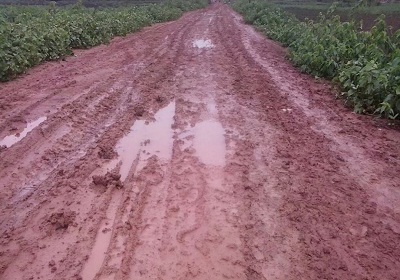 ESTRADAS DOS POVOADOS BEIRADA E QUIÁ ESTÃO INTRAFEGÁVEIS