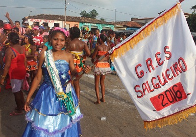 Carnaval 2016: Turma do Salgueiro comemora 45 anos de tradição em São João Batista