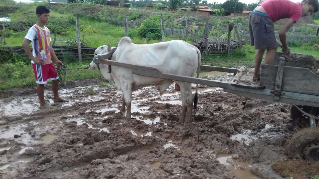 Moradores do Quiá também se unem para arrumar estrada em São João Batista
