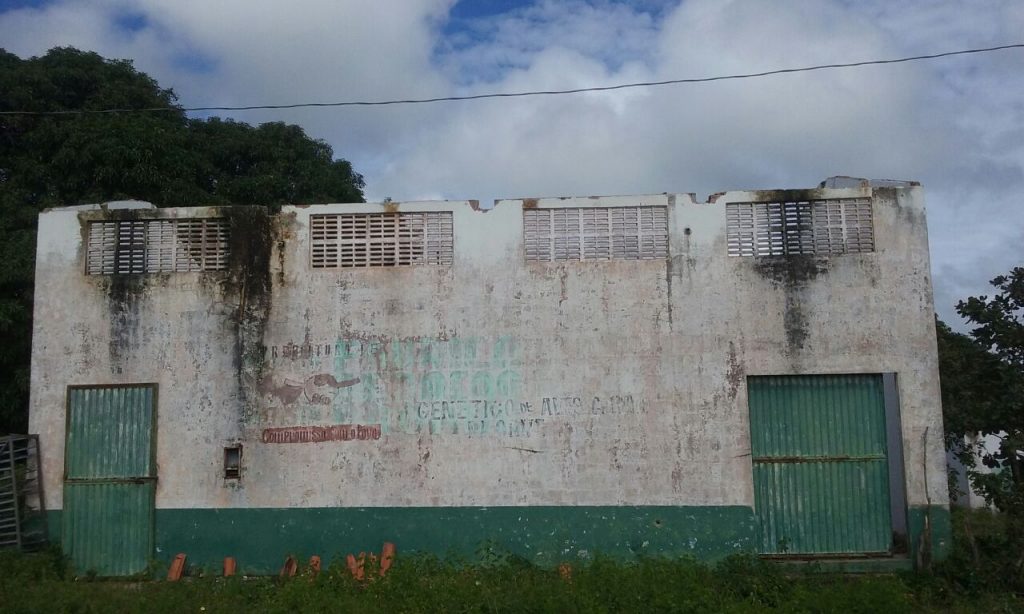 Mecinho vai denunciar invasão à Casa da Granja ao Ministério Público e prefeito diz que já acionou a polícia