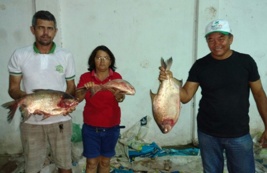 Prefeitura de Olinda Nova do Maranhão vai entregar 6 toneladas de peixes amanhã