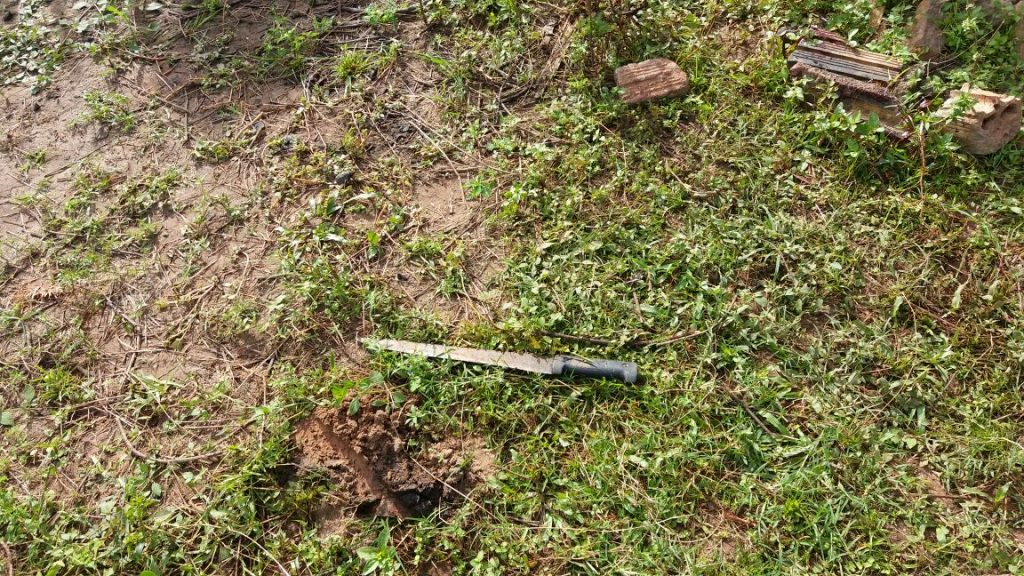Natural de Cajapió é encontrado degolado em Pinheiro