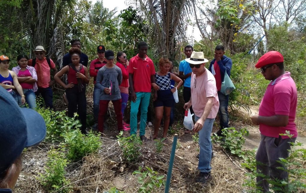 Fórum da Juventude leva ações esportivas em praça pública para crianças e fortalece curso de agroecologia em São João Batista