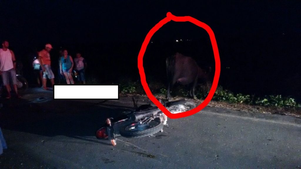 Urgente: homem fica gravemente ferido após bater em vaca no município de São Vicente Ferrer