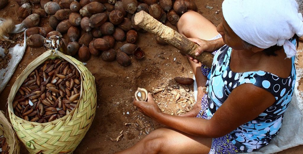 Quebradeiras de coco babaçu inovam e criam centro de formação
