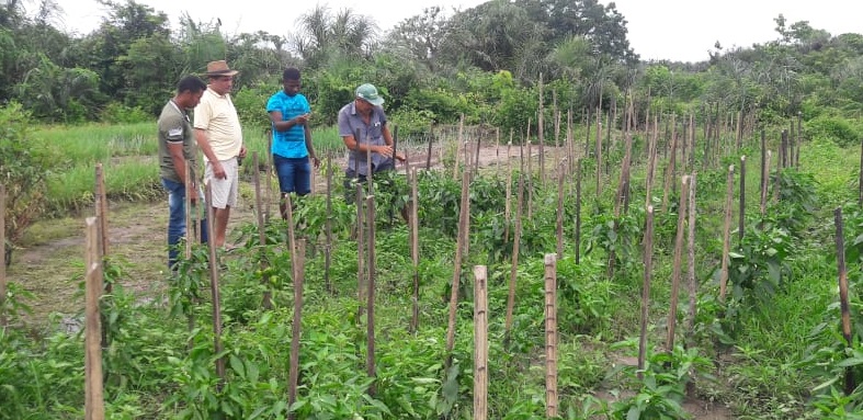 Costinha e técnicos da Agerp visitam comunidade do Charco e garantem compra de produtores para escolas de Olinda Nova do MA