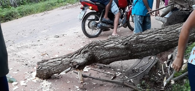 Urgente: árvore cai e deixa duas jovens em estado grave na zona rural de São João Batista