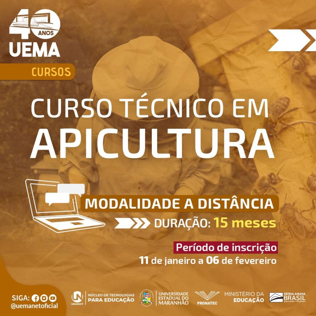 Uema abre inscrições para curso de Apicultura com 90 vagas em Arari, São Bento e Viana; vejam edital e como se inscrever