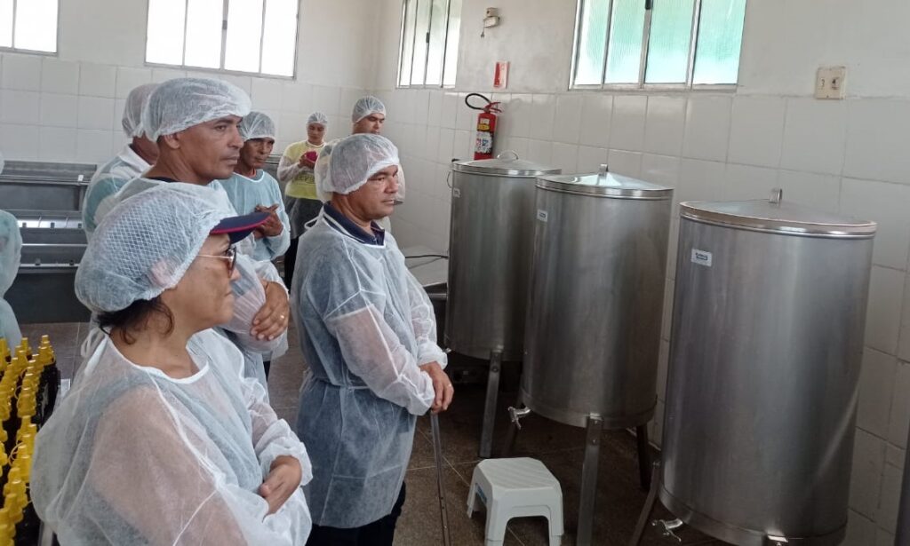 Produtores de mel de Arari e Vitória do Mearim visitam a Casa do Mel em Bacabeira