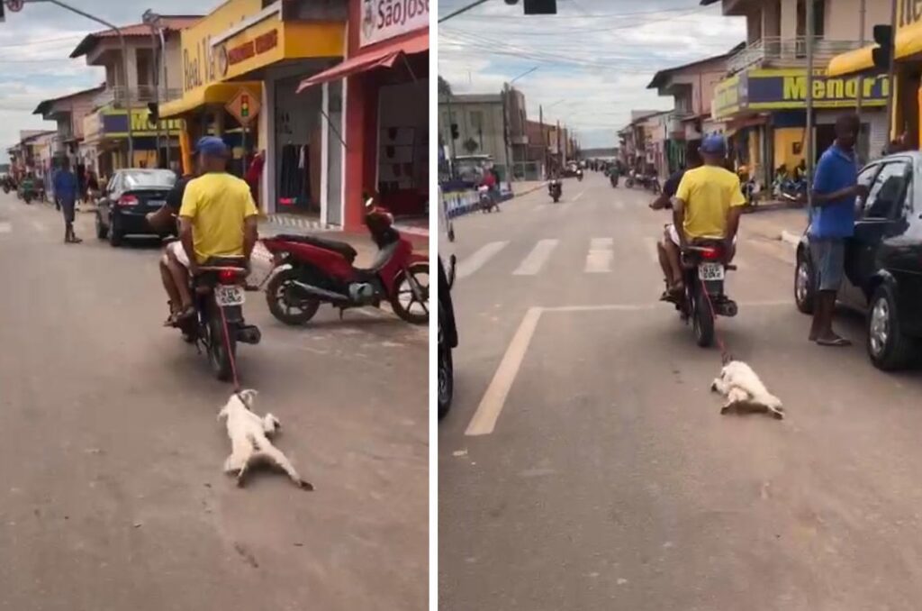 Deputado federal denuncia idoso que arrastou cachorro pelas ruas da cidade de Penalva